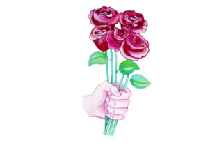 Offering a Bouquet of Roses for Crafts and Valentine S Day