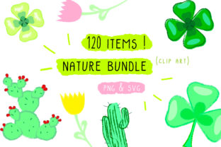 Plant Flowers Cactus Nature Bundle Review