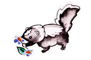 Skunk Smelling Flowers in Watercolor